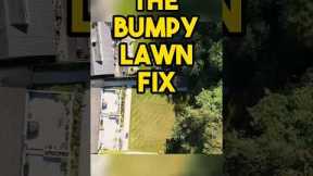 fixing deep holes in a lawn #lawncare #lawncaretips