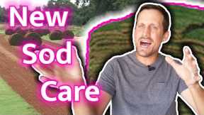 Lawn Care for New Sod // How To Water, Mow, Fertilize, & Kill Weeds in New Lawn // What to Expect
