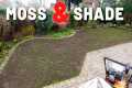 Shaded & Mossy Full UK Lawn Care