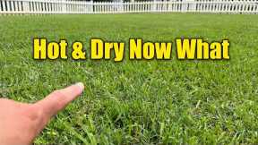 Summer Lawn Care High Temps and Droughts