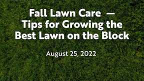 Fall Lawn Care – Tips For Growing The Best Lawn On The Block