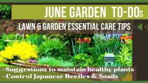 June Garden To Dos | Summer Lawn & Garden Care Suggestions | Landscaping Care & Suggestions