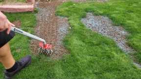 Reseeding Some Bare Spots. - DIY Lawn Guy