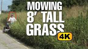 ALTOZ TRX 766 | Mowing 8' Tall Grass in 4K | MOWING TEST