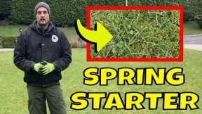 Start to Sort the MAIN PROBLEM in your LAWN this Spring