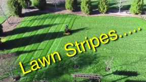 Mowing the lawn! Wright Mower Stripes
