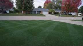 Cool Season Lawn Guide // Fertilizer