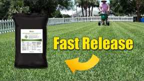 FAST Release Summer Lawn Fertilizer - When to Use