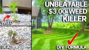 $3 DIY Weed Killer BEATS RoundUp Naturally!