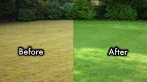 8 Secrets To  Keep Your Lawn Always Green And Healthy