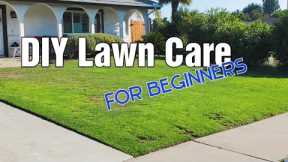 8 Beginner Friendly Lawn Care Tips For Any Lawn