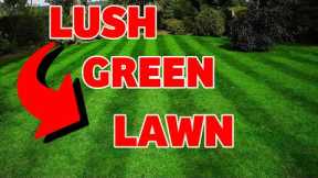 The biggest trade secret in lawn care