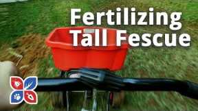 Do My Own Lawn Care - Fertilizing Tall Fescue Grass - Ep30