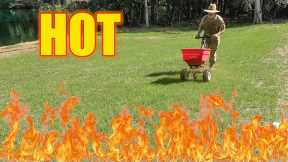 Sizzle Hot Summer Lawn Care
