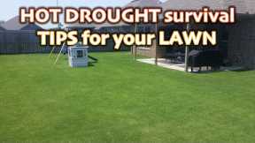 3 Easy Ways to Help Your Lawn Survive a Hot Drought // Summer Heat Lawn Care Tips for Green Grass