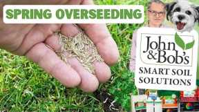 Overseeding Lawn In Spring | Spring Lawn Care