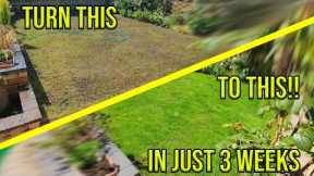 HOW TO FIX YOUR PATCHY LAWN *IN JUST 3 WEEKS*