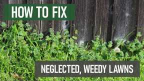 How to Fix Neglected, Weed-Ridden Lawns [DIY Lawn Care]