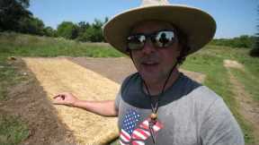 Planting Bermuda Grass In Iowa??