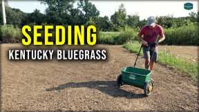 Lawn Renovation BEGINS // Seeding Kentucky Bluegrass + Perennial Ryegrass Plots