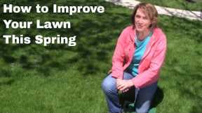 How to Improve Your Lawn this Spring
