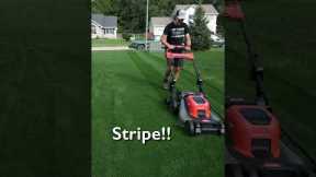 Lawn Striping Like A PRO With A Push Mower #lawncare #lawnstripes #grass