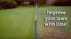 Applying Lime Treatments to your Lawn -- Expert Lawn Care Tips