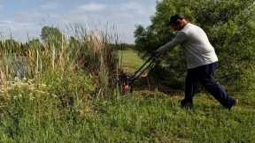 DR Power Trimmer Mower Made Easy Work Of This Overgrown Pond