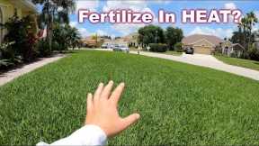 Can Your Fertilize The Lawn in Summer and Not Burn It?