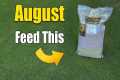 August Lawn Care - What to Feed Your