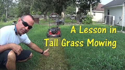 Pt 1 How To Cut Tall Grass with Cheap Lawn Mower - Mowing Tall ...