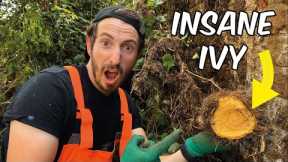 Insane Ivy PEELED Off Of This Wall | Satisfying Yard Clearance | PART 2