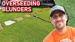 Fall Overseeding Lawns // What You Really Need to Know For it to Be a Huge Success