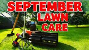 Renovate your lawn this autumn the RIGHT way // Beginner tips and tricks