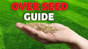 Getting the basics right when overseeding your lawn