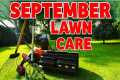 Renovate your lawn this autumn the