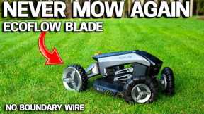 THIS Robot will END Lawn Mowing Forever - Ecoflow BLADE