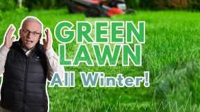DO THIS NOW For A Green Winter Lawn | Fall Lawn Fertilizer (cool season grass)