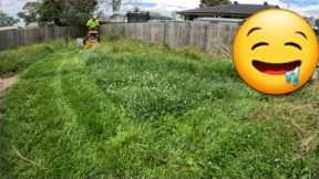 Perfect Mowing of Backyard Meadow