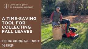 A Time-Saving Tool for Collecting Fall Leaves | DR Power Walk-Behind Leaf & Lawn Vacuum