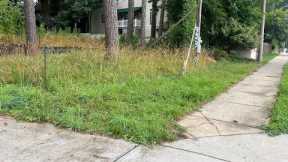 Neighbors fed up with property owner not maintaining their lawn