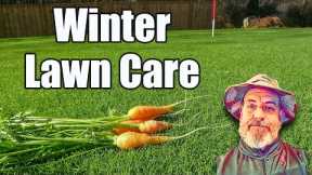 Winter Lawn Care - Nasty Lawn Clean Up