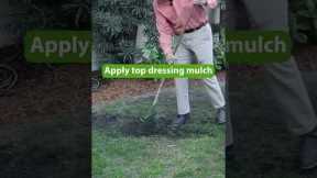 Make Your Lawn Look Great This Fall | Fall Overseeding