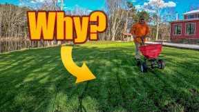 Should You Fertilize and Water a Lawn in the Winter