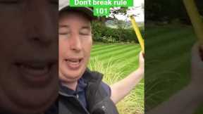 The most important thing to know in lawn care (rule 101)