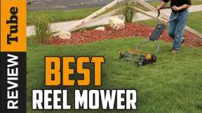 ✅ Reel Mower: Best Reel Mower 2021 (Buying Guide)
