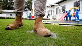 Lots of rain lately? | Water & drainage issues - How to treat & prevent fungal disease in your lawn