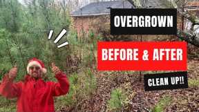 Community Cleanup Champion: Transforming an overgrown yard into a Safe and Welcoming Space!