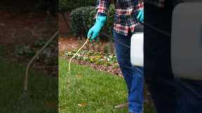 DIY Lawn Care for Beginners - Equipment to Get Started! | DoMyOwn.com