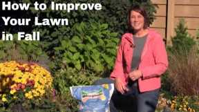 How to Improve Your Lawn in Fall